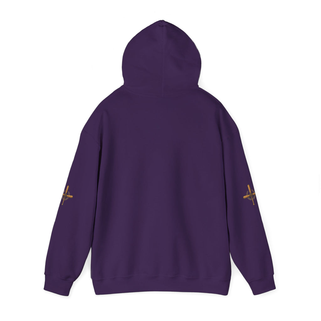 Vintage Airplane Hoodie — Retro Travel Poster Design