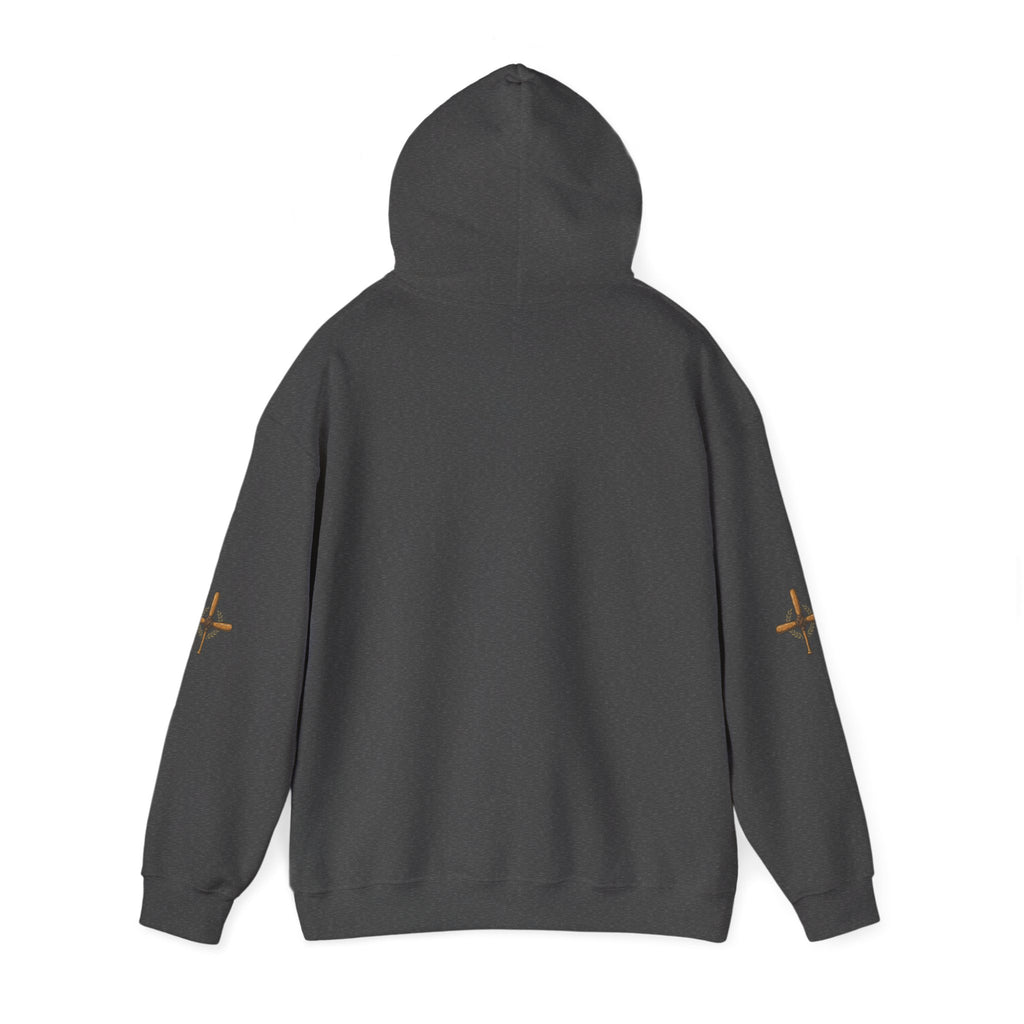 Vintage Airplane Hoodie — Retro Travel Poster Design