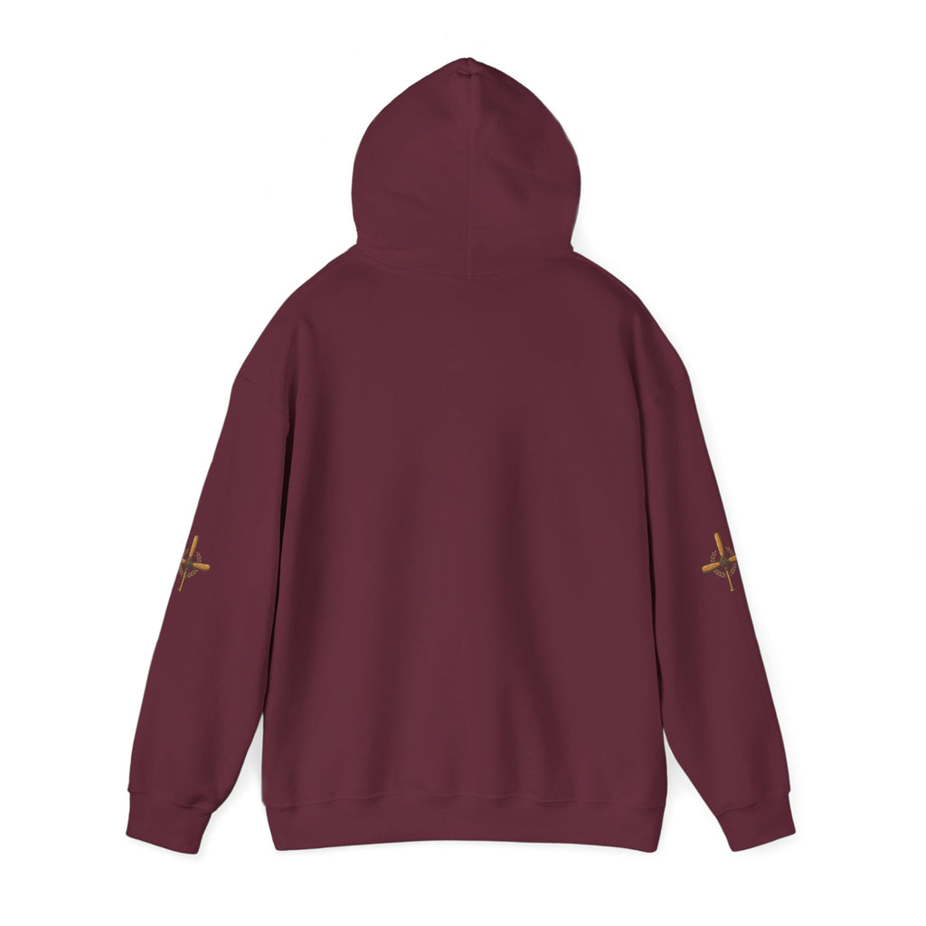 Vintage Airplane Hoodie — Retro Travel Poster Design